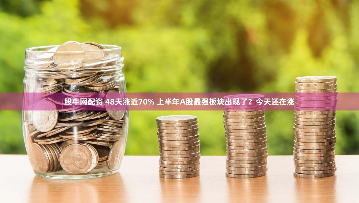 股牛网配资 48天涨近70% 上半年A股最强板块出现了？今天还在涨