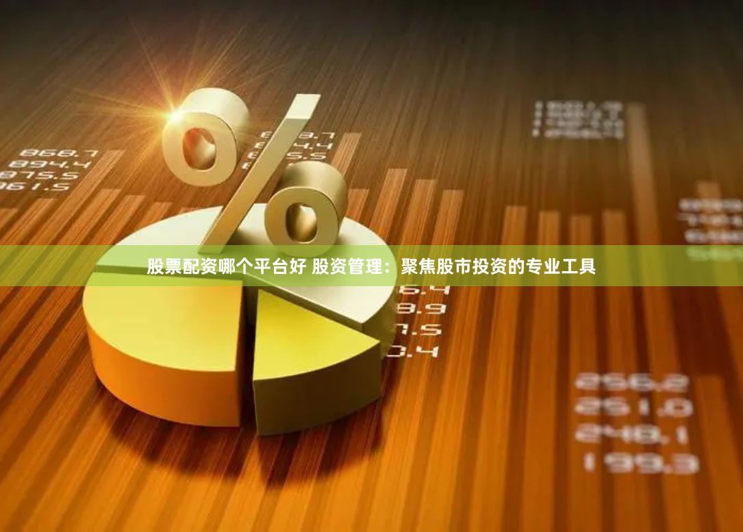 股票配资哪个平台好 股资管理：聚焦股市投资的专业工具