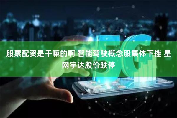 股票配资是干嘛的啊 智能驾驶概念股集体下挫 星网宇达股价跌停
