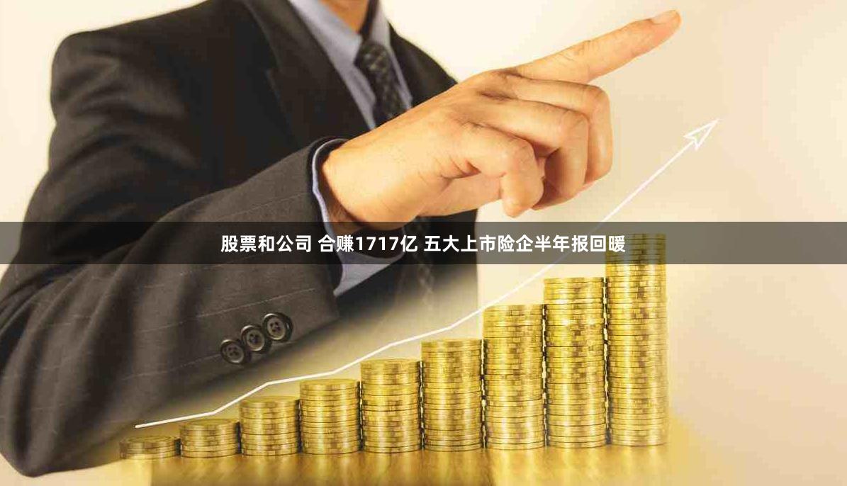 股票和公司 合赚1717亿 五大上市险企半年报回暖