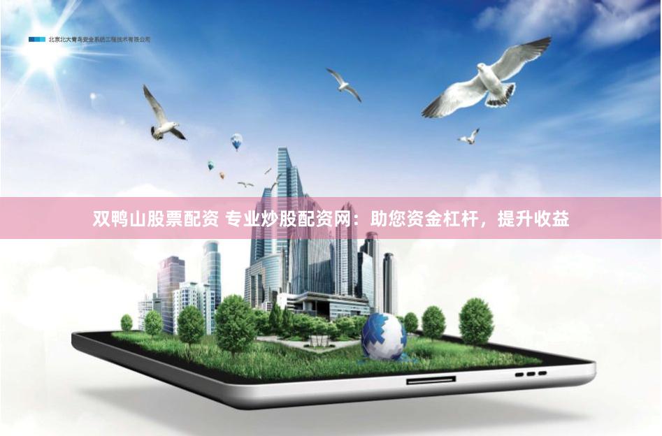双鸭山股票配资 专业炒股配资网：助您资金杠杆，提升收益